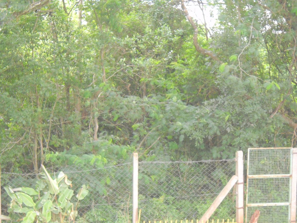 Pousada Chacara Mamma Gaia Foz do Iguacu Ngoại thất bức ảnh